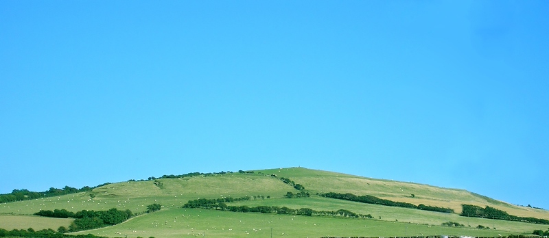 Zielone wzgórze pod błekitnym niebem Fot. Freeimages