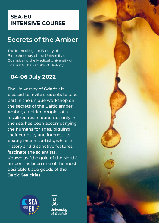 Secrets of the Amber