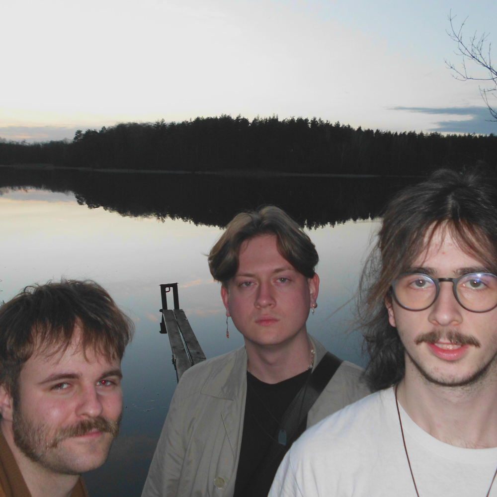 Ametyst bandfoto
