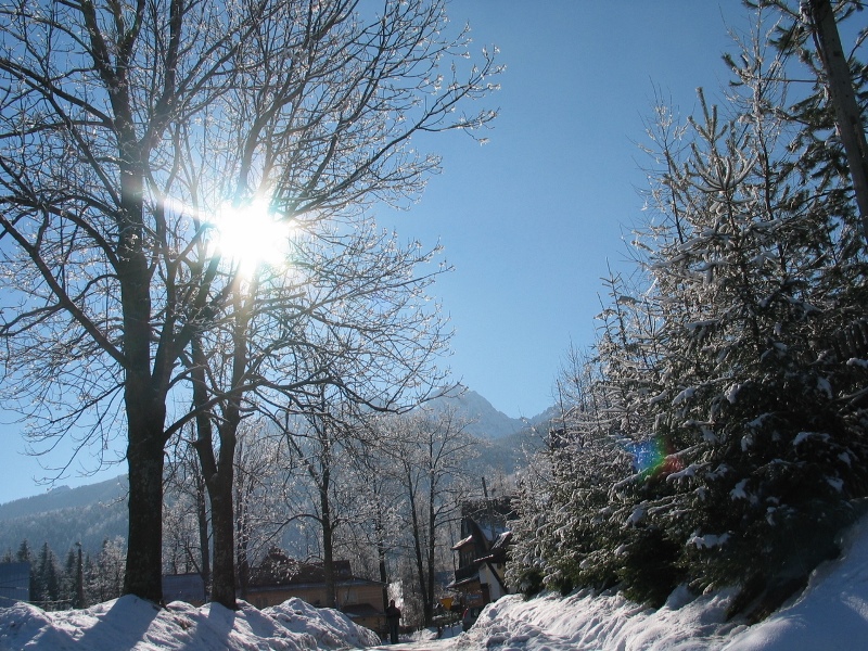 Zima w Tatrach Fot. Freeimages