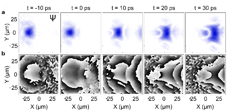 Zdjęcie fali „X” przemieszczającej się w mikrownęce ekscytonowo-polarytonowej
