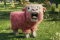 Kadr z filmu Minecraft: Film