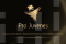 Pro Juvenes logo