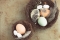 Jajka w dwóch gniazdach Fot. Kate Remmer/Unsplash