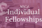 Baner Individual Fellowships
