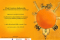 Baner wystawy Tajemnice Zamku Birbante Rokka