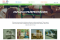 Baner Live more Pomerania