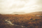 Torfowisko Photo by Jordane Mathieu on Unsplash