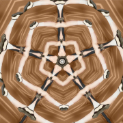 Dorota Walentynowicz prace 2