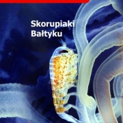 Okładka książki Skorupiaki Bałtyku