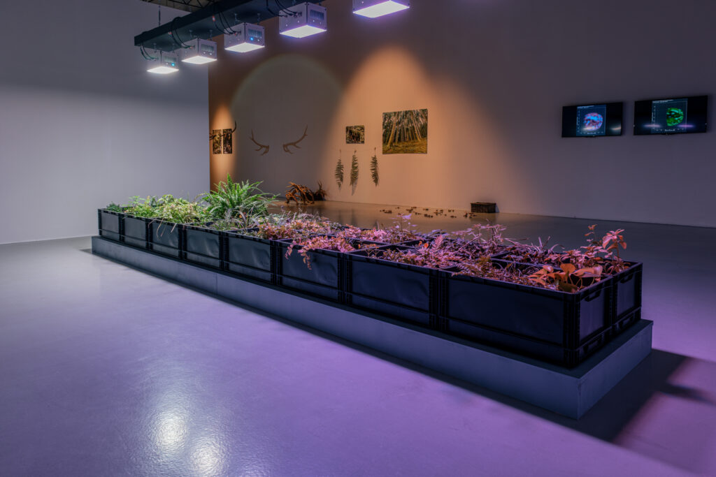 Studiotopia 2.0 fragment wystawy