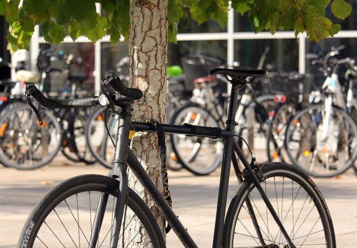 cycles, bike city, students, greifswald, turned off, to go biking, environmentally friendly, saddle, bicycle, vehicle, mobility, traffic, downtown, active, road, lifestyle, move, leisure time, sports, fit, healthy, athletic, fitness