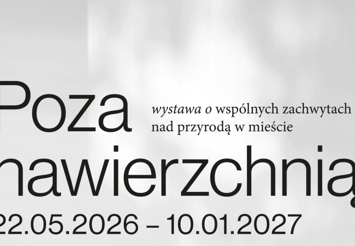 Poza nawierzchnią plakat