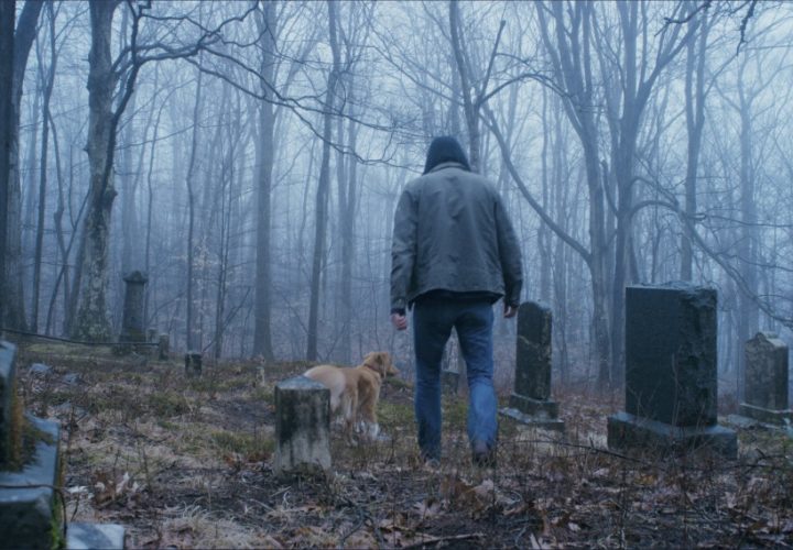 Człowiek z psem na cmentarzu